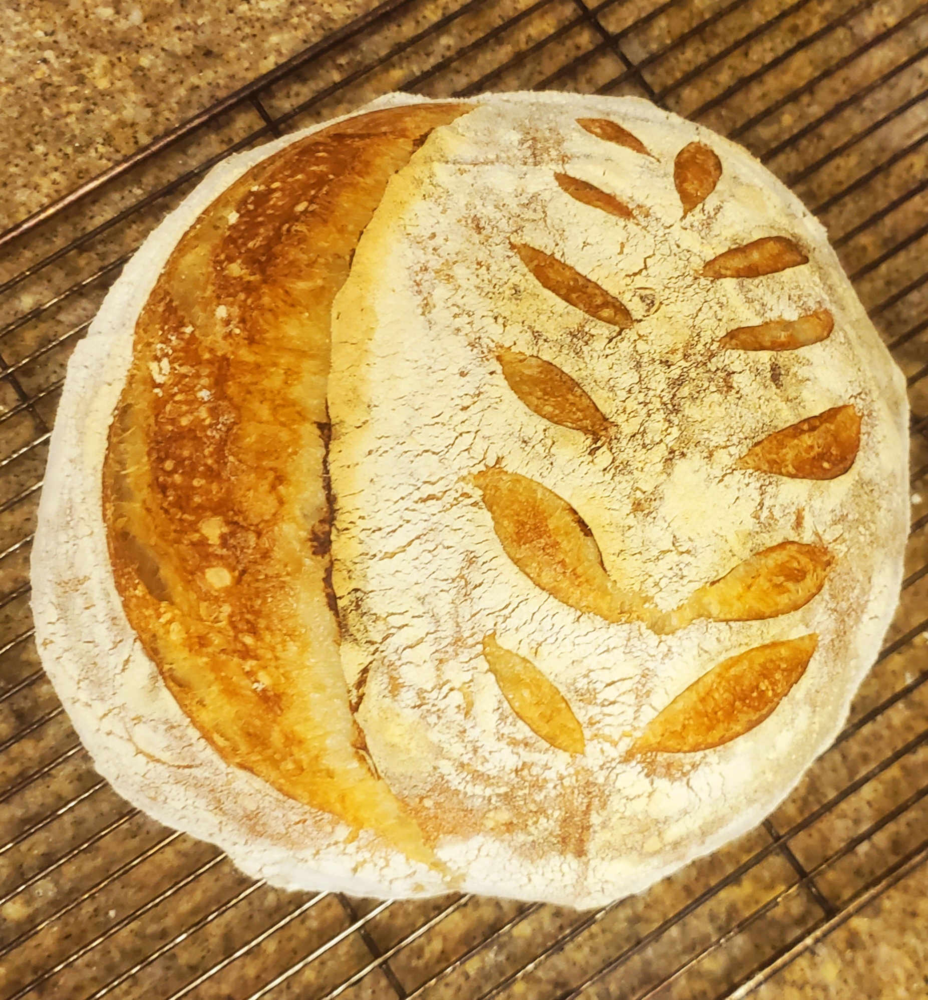 Me getting fancy schmancy with my lame.