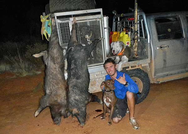 see the brown dog, what we raise but bigger.jpg
